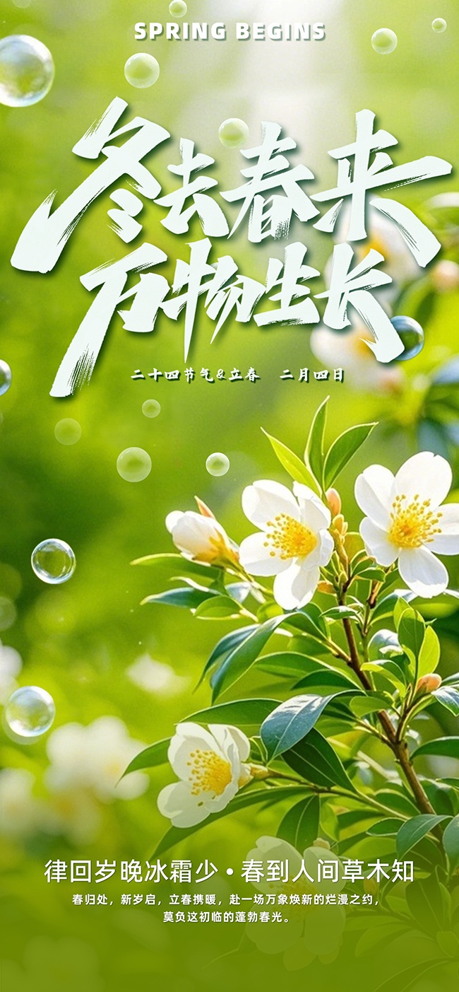 二十四节气立春海报