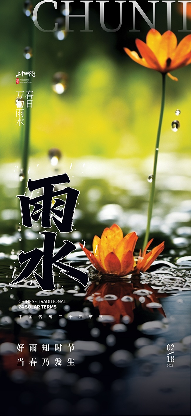 雨水春季24节气海报