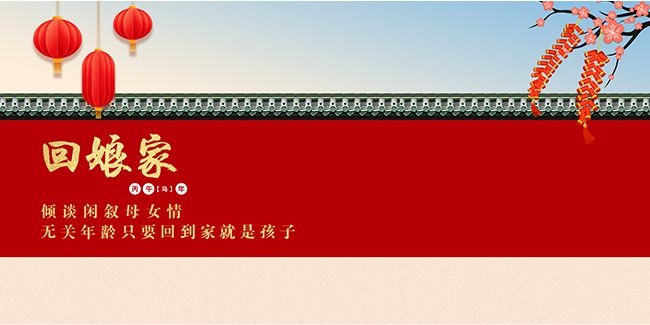 新年回娘家海报图片素材