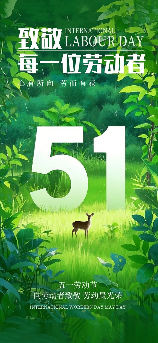 ��ɫɭϵ����51�Ͷ��������������