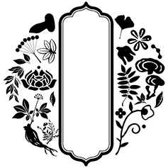 中药元素花纹边框矢量下载