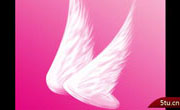 粉色柔美的翅膀