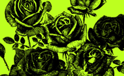 手绘风格玫瑰花朵