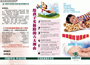 中國平安三折頁模板