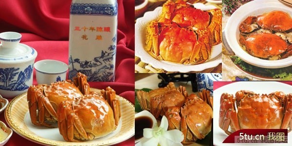 高精度大闸蟹图片素材