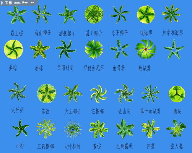 效果图后期素材_园林植物