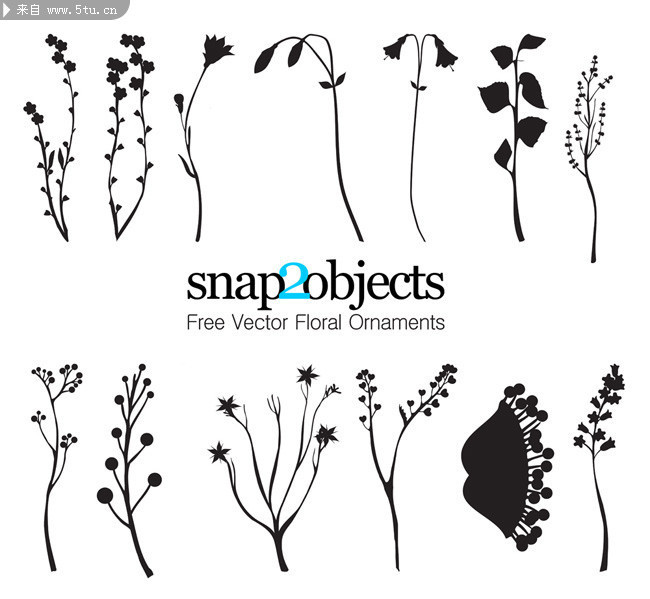 植物剪影图片 简单植物素材,主题为植物设计,可用作植物图案,植物矢量
