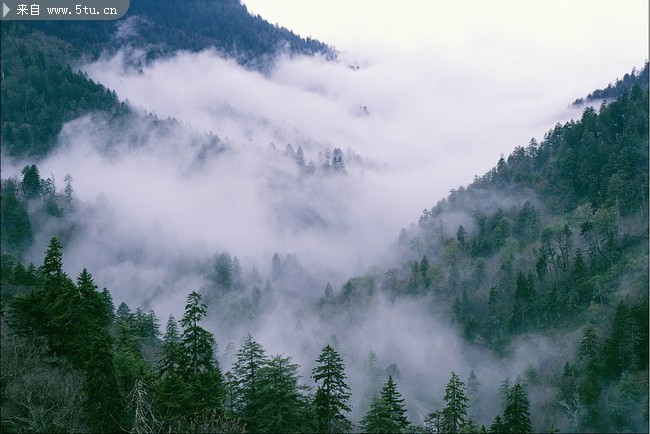 雲霧山林風景圖