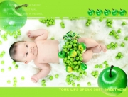 水果宝宝系列相册模板