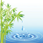 竹子与水滴