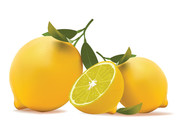柠檬矢量图 水果图片素材