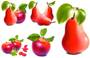 红苹果矢量图 逼真的水果图片