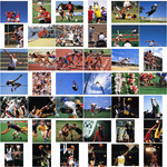 体育运动图片素材 