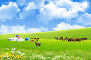 草原蒙古包图片 奔腾的骏马