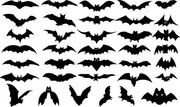 万圣节蝙蝠素材 蝙蝠矢量图