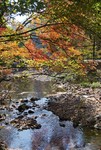 林间小溪摄影图片 自然风景素材