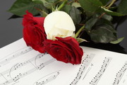 红白玫瑰花背景图片