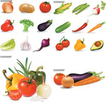 各种蔬菜矢量图片