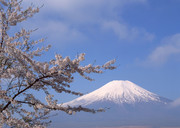 冬季日本富士山图片