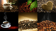 超大咖啡豆图片