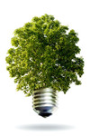 创意环保图片素材 绿树图片