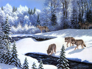 冬天雪景图片 北方的狼群图片