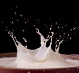 飞溅的牛奶图片 动态牛奶的图片