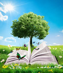绿树书本背景图片 清爽大自然素材