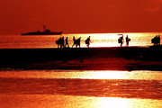 大海夕阳美景图片