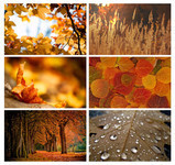 秋天风景图片 秋天电脑壁纸