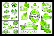 绿色环保标签素材