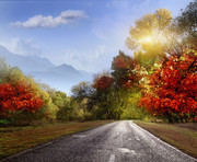 秋季风景 高清道路图片素材