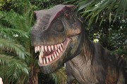 高清恐龙模型图片