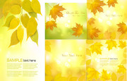 金黄色枫叶背景图片