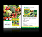 蔬果化肥宣传单模板