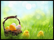 复活节彩蛋和小鸡图片