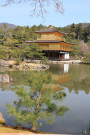 日本金阁寺照片