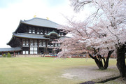 日本奈良东大寺摄影图片