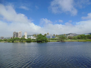 夏威夷城市图片