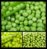 新鲜豌豆背景图片