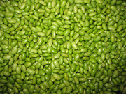 绿色毛豆背景图片