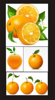 橙子图片 橙子背景素材