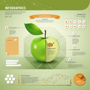 绿色苹果信息统计表