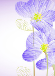 紫色花朵背景下载