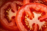 西红柿切片图片
