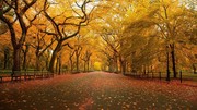 秋天景色素材图片