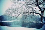 冬雪风景图片