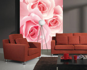 粉色玫瑰花壁纸图片