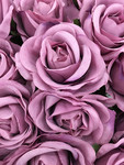 紫色玫瑰花背景图片