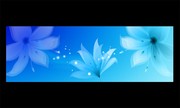 淡蓝色花卉装饰画下载